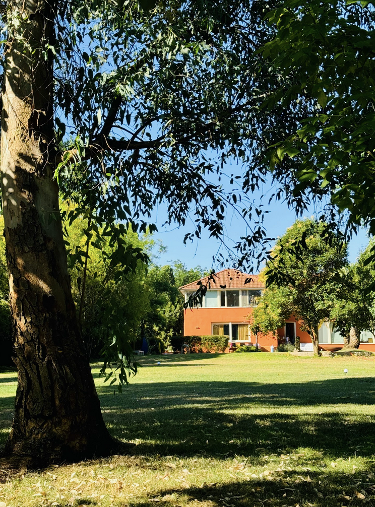 Jardín arbolado de la casa