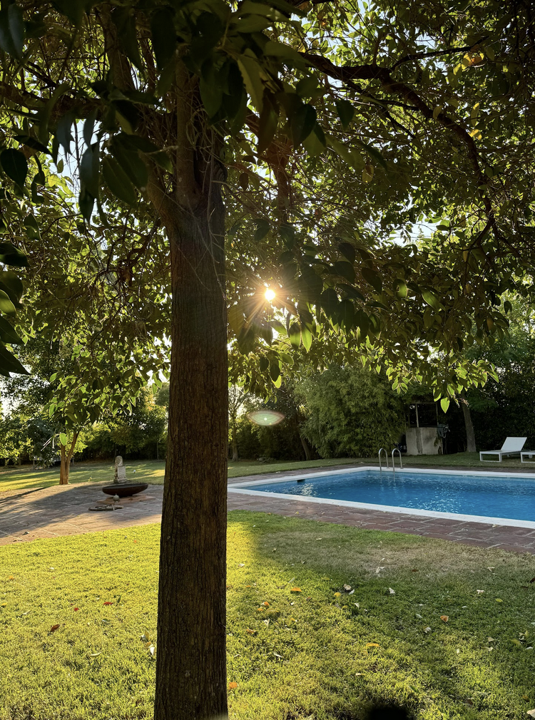 Atardecer en el jardín